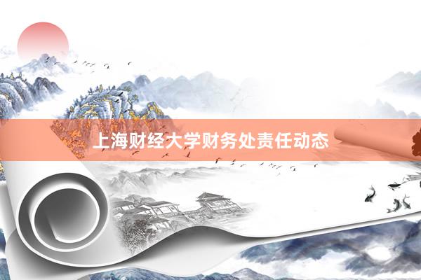 上海财经大学财务处责任动态